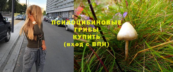 кокс Дмитровск