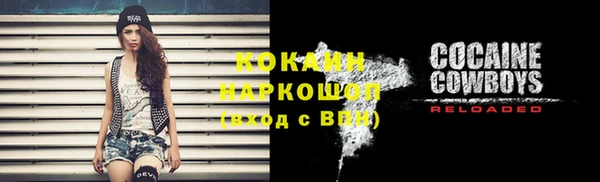 кокс Дмитровск